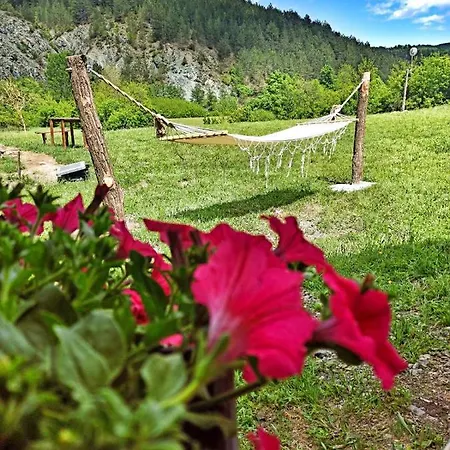 Brvnare Ljubojevic Cabană