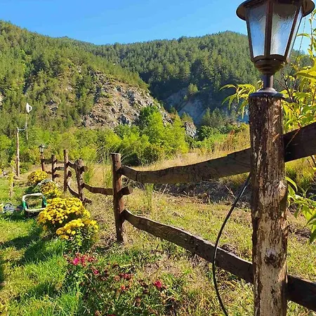 Brvnare Ljubojevic Loža *