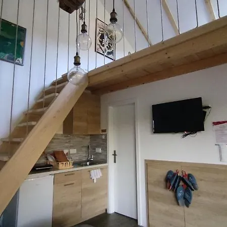 Brvnare Ljubojevic Kraljevo