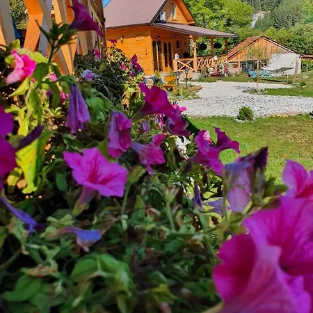 Brvnare Ljubojevic Cabană Kraljevo