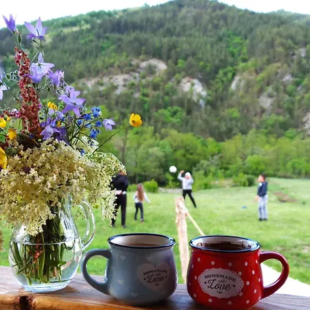 Brvnare Ljubojevic Cabană Kraljevo