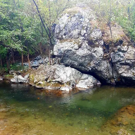 Brvnare Ljubojevic Cabană *