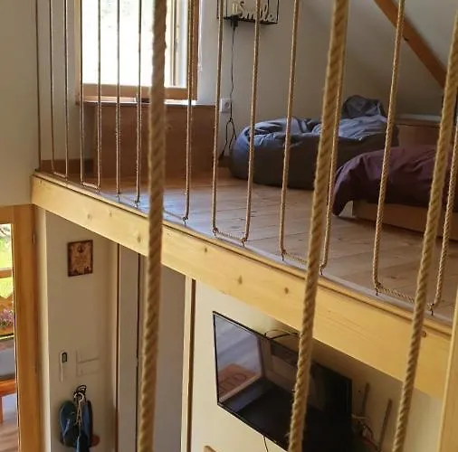 Brvnare Ljubojevic * Kraljevo